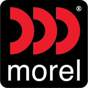 Morel Morel