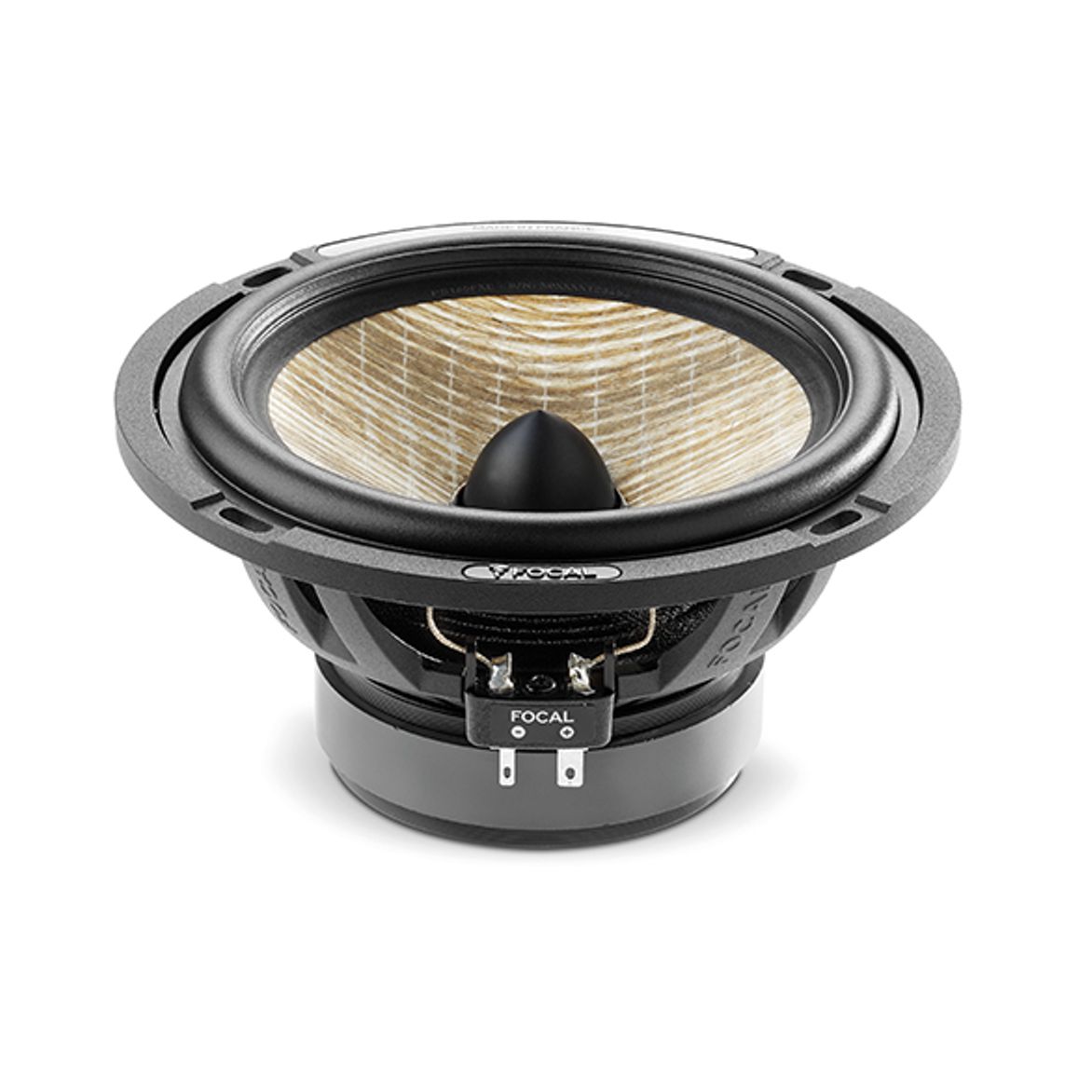 Focal PS165FXE