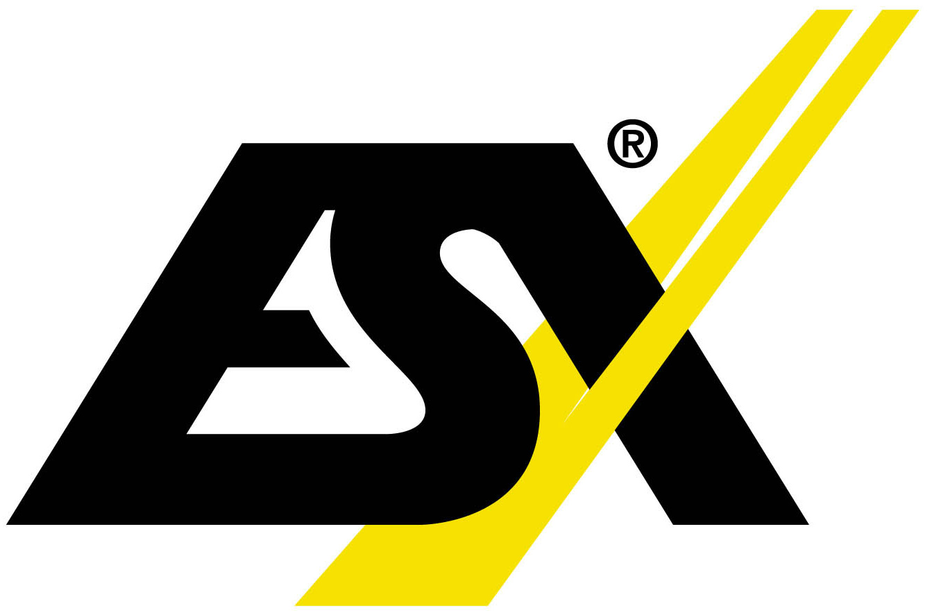 ESX ESX