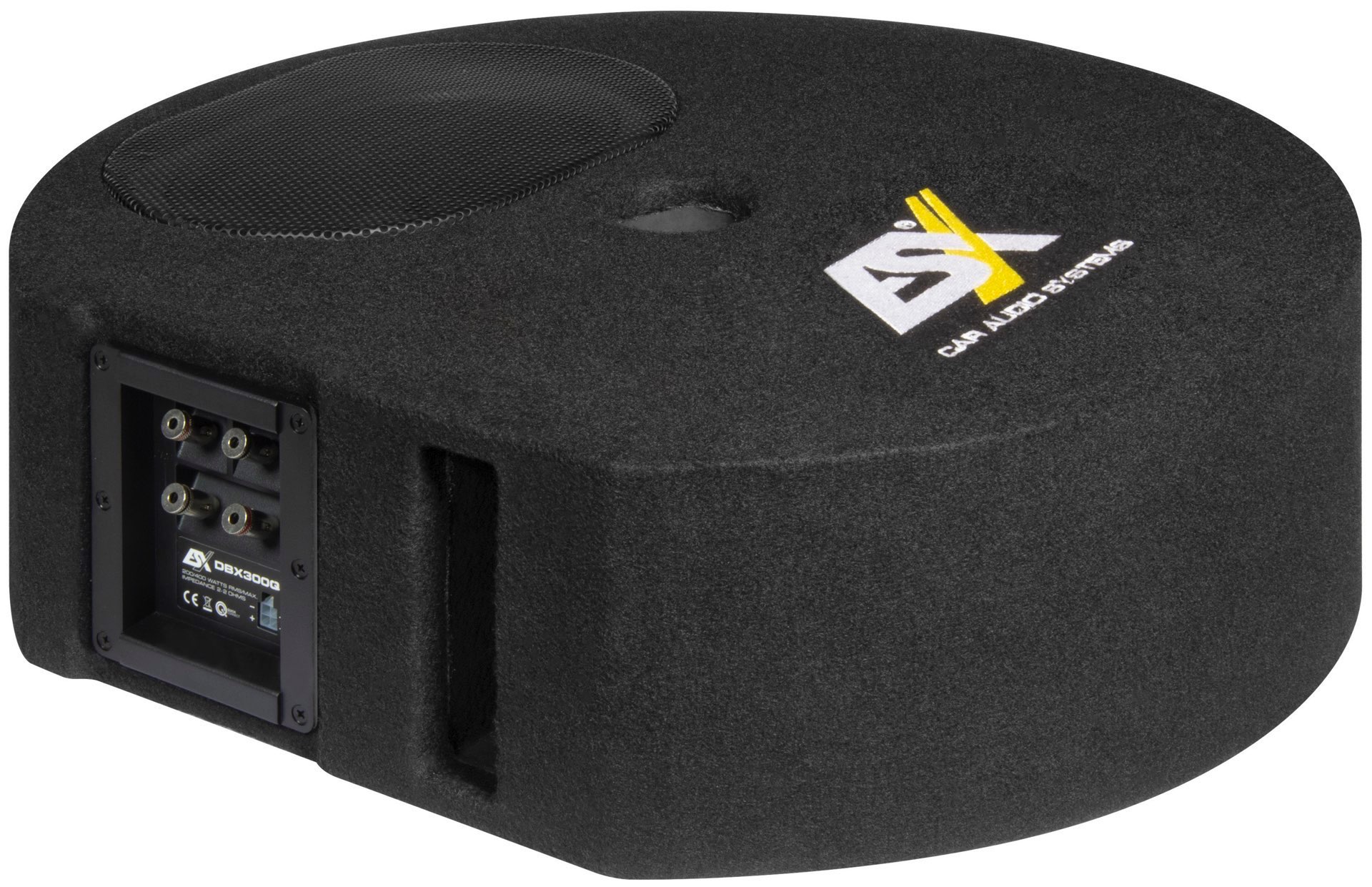ESX-DBX300Q_1 ESX DBX-300Q