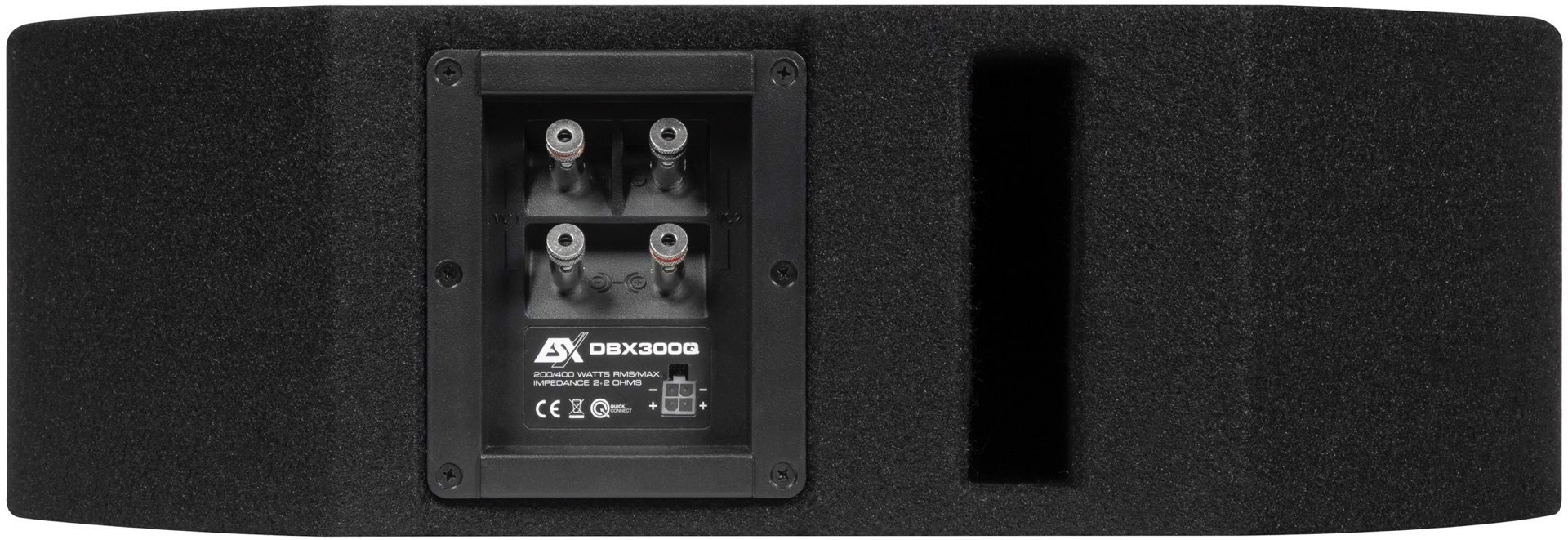 ESX-DBX300Q_3